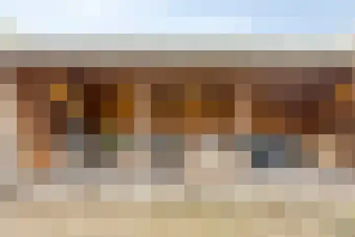 Van Zeylstraat 26 Oud-Vossemeer thumbnail 4