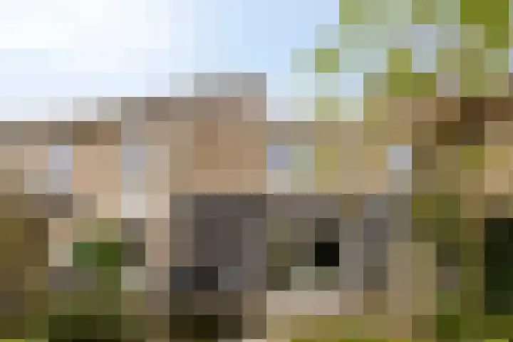 Van Zeylstraat 26 Oud-Vossemeer thumbnail 42
