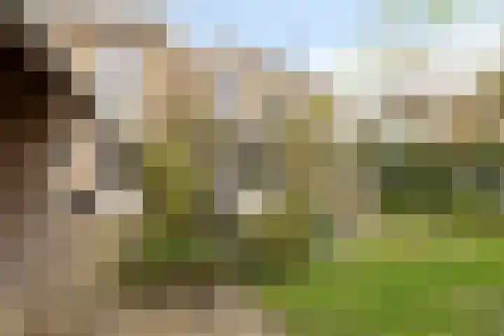 Van Zeylstraat 26 Oud-Vossemeer thumbnail 5