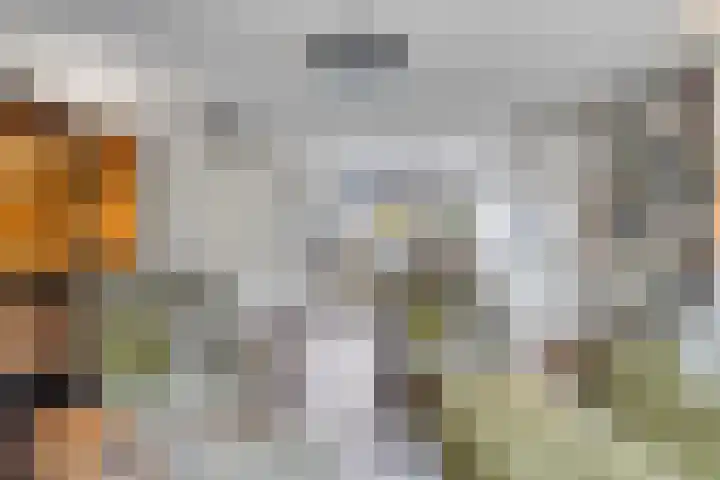 Van Zeylstraat 26 Oud-Vossemeer thumbnail 9