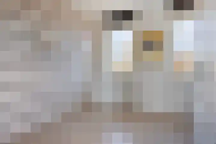 Van Zeylstraat 30 Oud-Vossemeer thumbnail 21