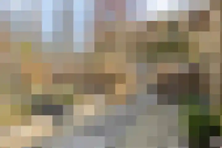 Van Zeylstraat 30 Oud-Vossemeer thumbnail 31