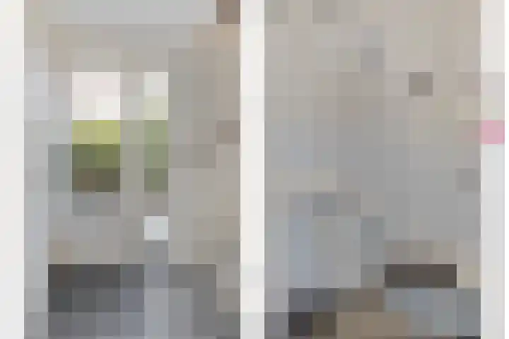 Van Zeylstraat 30 Oud-Vossemeer thumbnail 7
