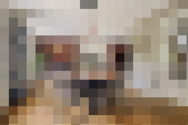 Van Zeylstraat 4 Oud-Vossemeer thumbnail 10