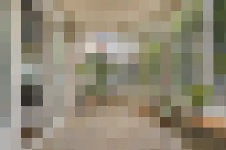 Van Zeylstraat 4 Oud-Vossemeer thumbnail 12