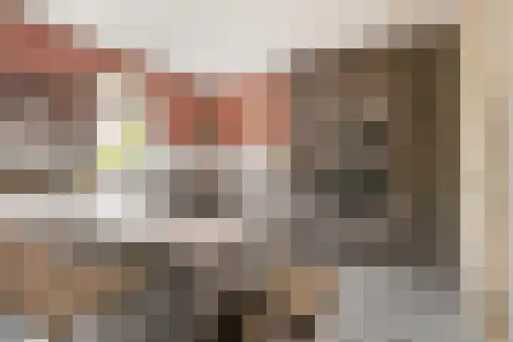 Van Zeylstraat 4 Oud-Vossemeer thumbnail 16