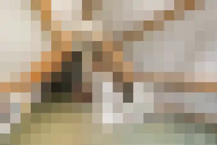 Van Zeylstraat 4 Oud-Vossemeer thumbnail 21