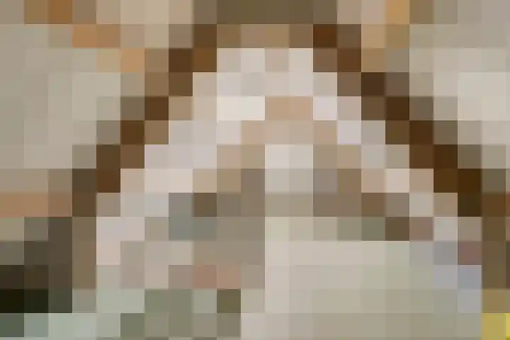 Van Zeylstraat 4 Oud-Vossemeer thumbnail 22