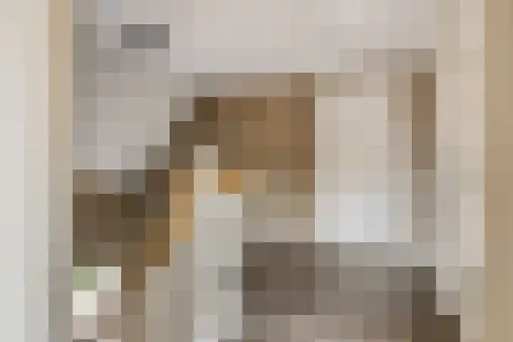Van Zeylstraat 4 Oud-Vossemeer thumbnail 24