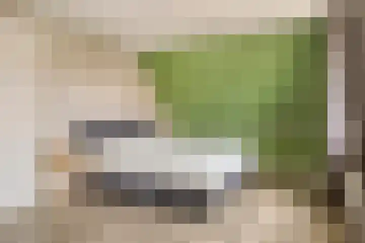 Van Zeylstraat 4 Oud-Vossemeer thumbnail 26