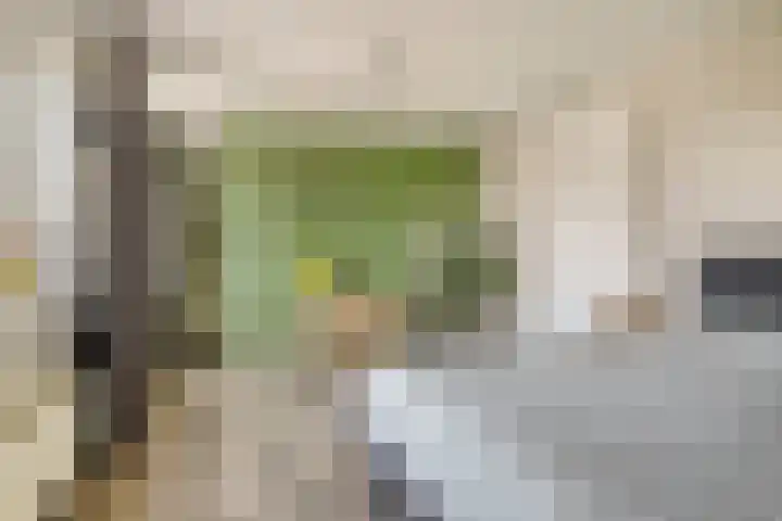 Van Zeylstraat 4 Oud-Vossemeer thumbnail 27