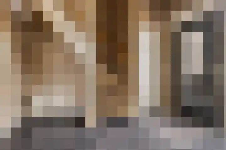 Van Zeylstraat 4 Oud-Vossemeer thumbnail 4