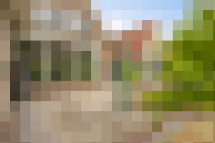 Van Zeylstraat 4 Oud-Vossemeer thumbnail 41