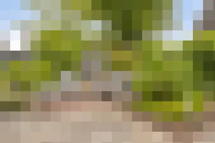 Van Zeylstraat 4 Oud-Vossemeer thumbnail 43
