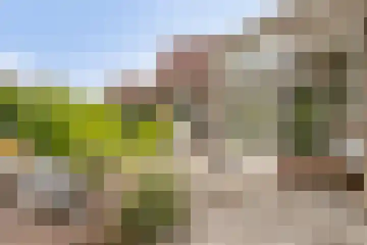 Van Zeylstraat 4 Oud-Vossemeer thumbnail 44