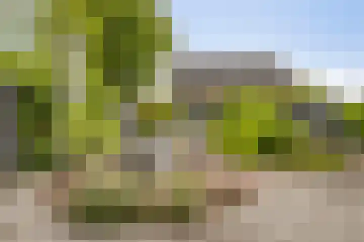 Van Zeylstraat 4 Oud-Vossemeer thumbnail 45