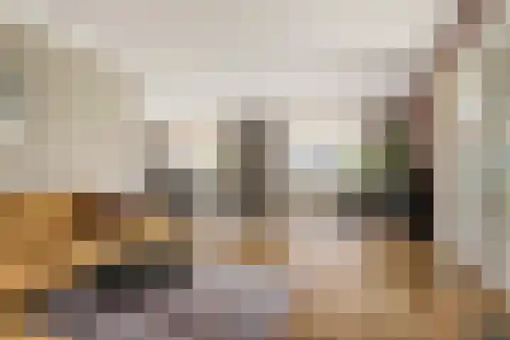 Van Zeylstraat 4 Oud-Vossemeer thumbnail 7