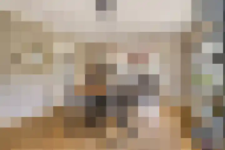 Van Zeylstraat 4 Oud-Vossemeer thumbnail 9