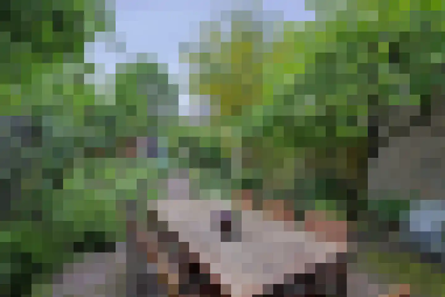 van Zijldreef 30 Bunnik thumbnail 21
