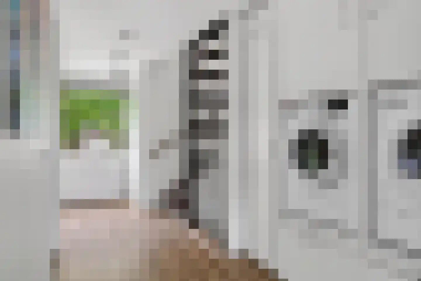 van Zijldreef 30 Bunnik thumbnail 29