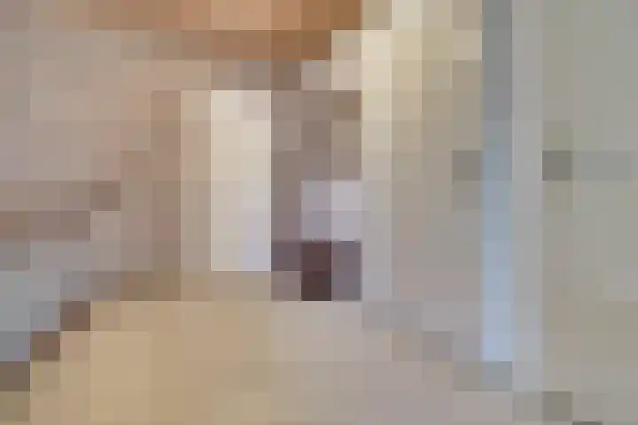 van Zijlstraat 1 's-Heerenhoek thumbnail 21