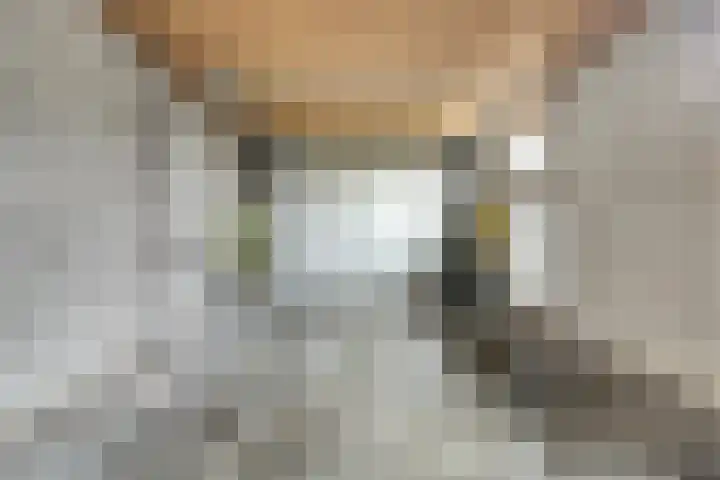 van Zijlstraat 1 's-Heerenhoek thumbnail 33