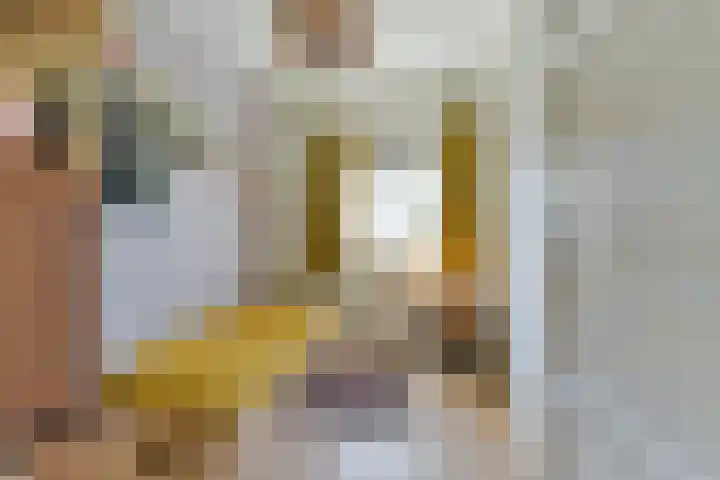 Van Zijlstraat 23 Utrecht thumbnail 18