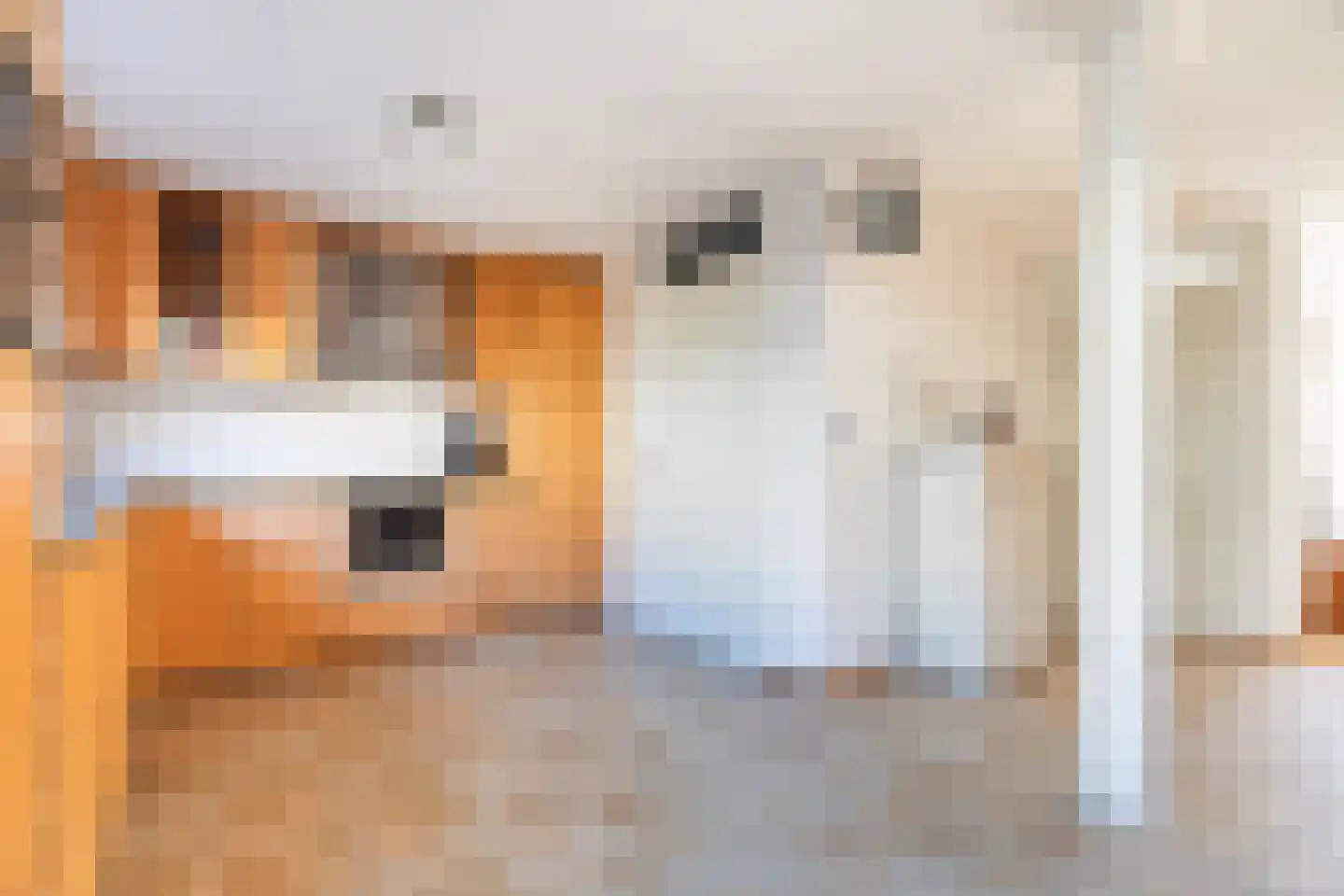 Van Zoestkade 7 Lekkerkerk thumbnail 15