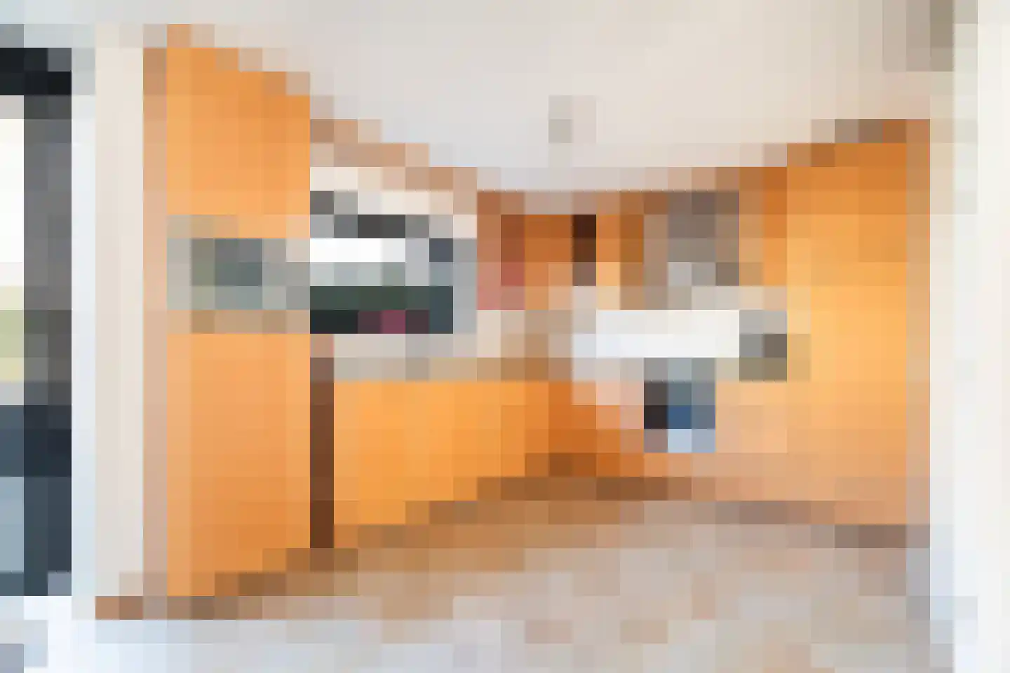 Van Zoestkade 7 Lekkerkerk thumbnail 16