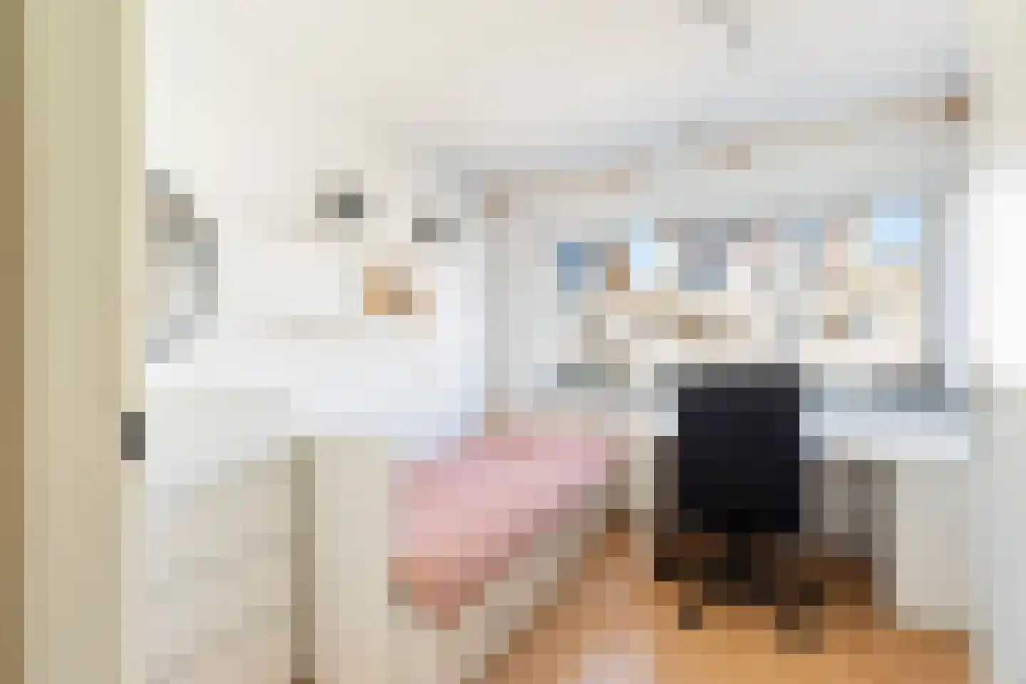 Van Zoestkade 7 Lekkerkerk thumbnail 20