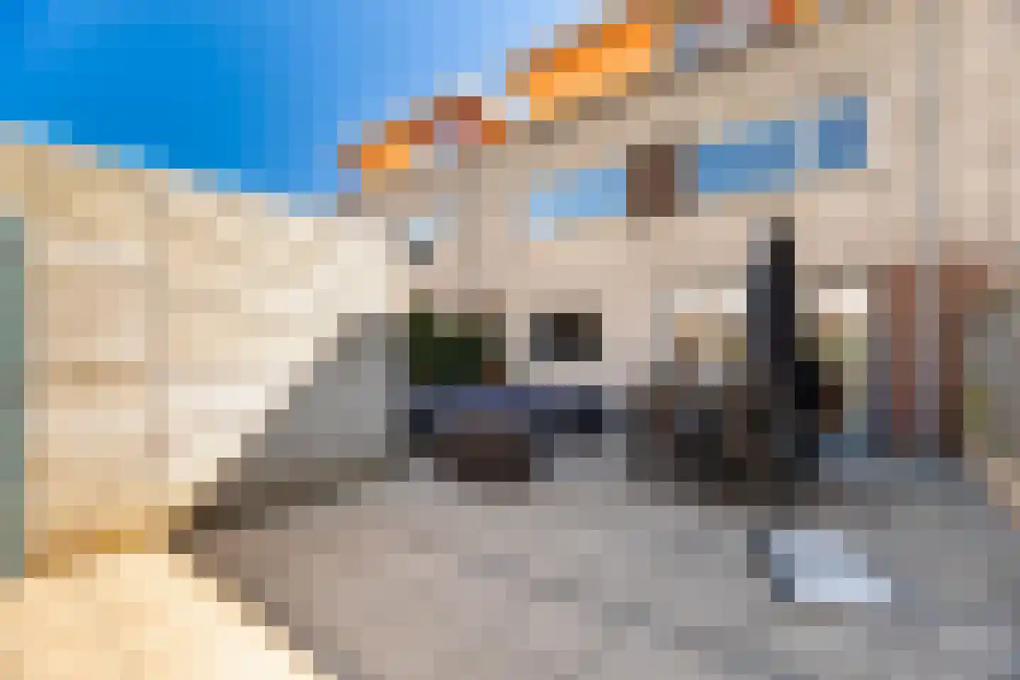 Van Zoestkade 7 Lekkerkerk foto 3