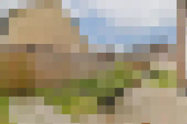 Van Zonneveldstraat 9 Sassenheim thumbnail 10
