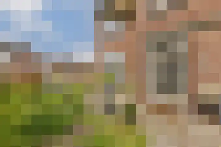 Van Zonneveldstraat 9 Sassenheim thumbnail 11