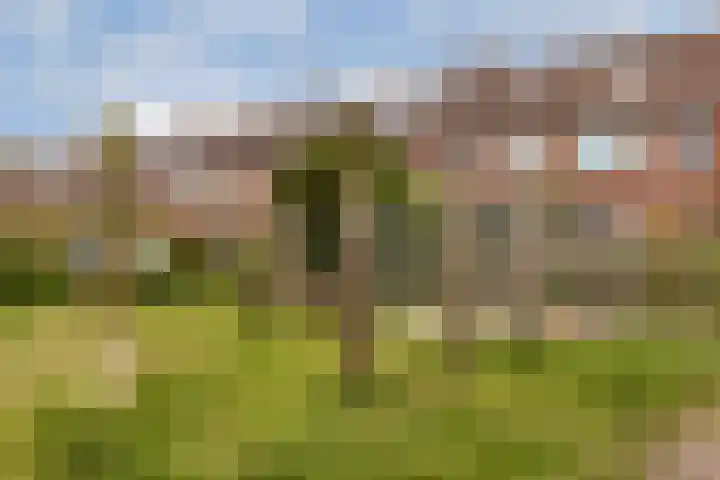 Van Zonneveldstraat 9 Sassenheim thumbnail 31