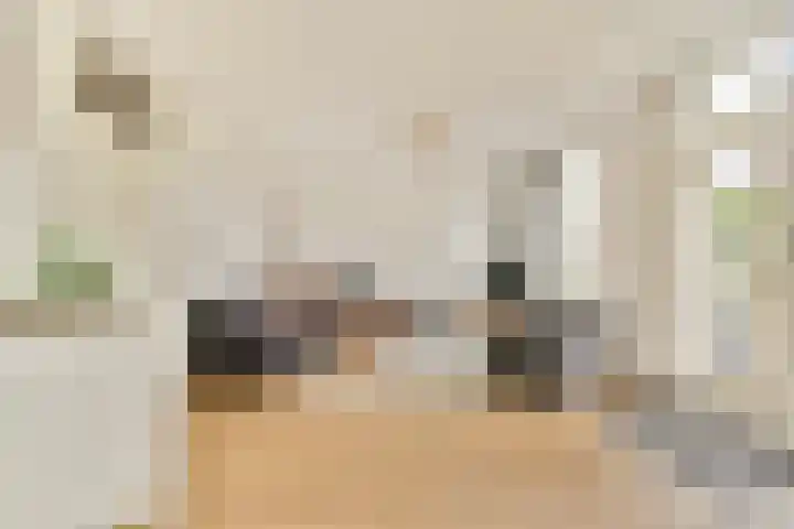 Van Zonneveldstraat 9 Sassenheim thumbnail 4