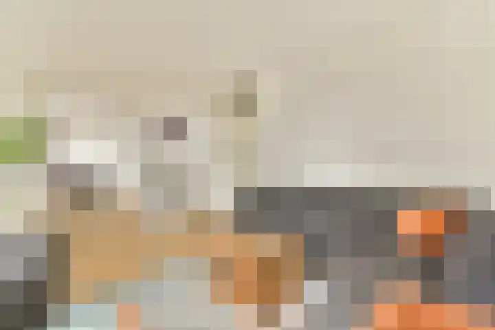 Van Zonneveldstraat 9 Sassenheim thumbnail 5