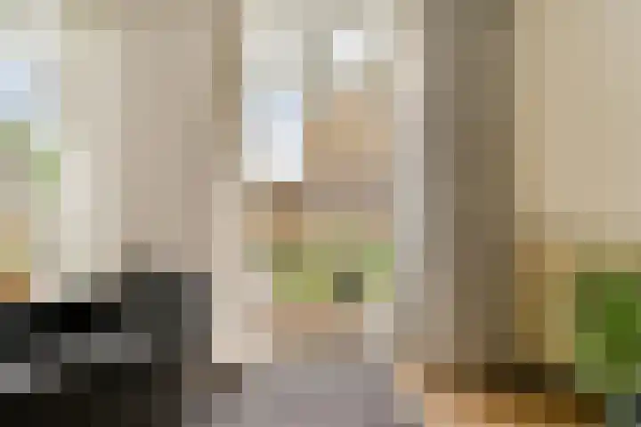 Van Zonneveldstraat 9 Sassenheim thumbnail 9