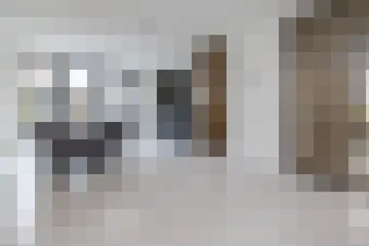 Van Zuijlen van Nieveltlaan 3 Barneveld thumbnail 10