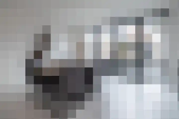 Van Zuijlen van Nieveltlaan 3 Barneveld thumbnail 11