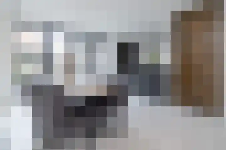 Van Zuijlen van Nieveltlaan 3 Barneveld thumbnail 13