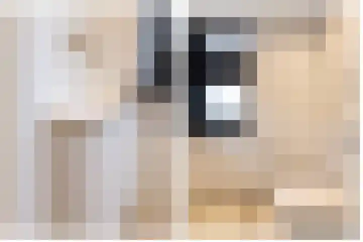Van Zuijlen van Nieveltlaan 3 Barneveld thumbnail 20