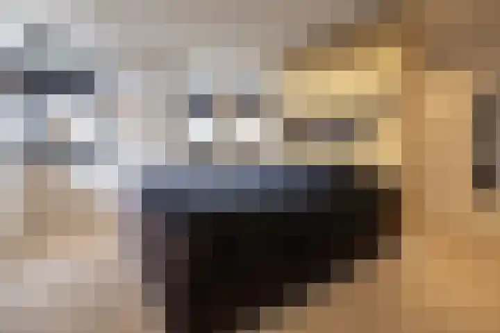 Van Zuijlen van Nieveltlaan 3 Barneveld thumbnail 21