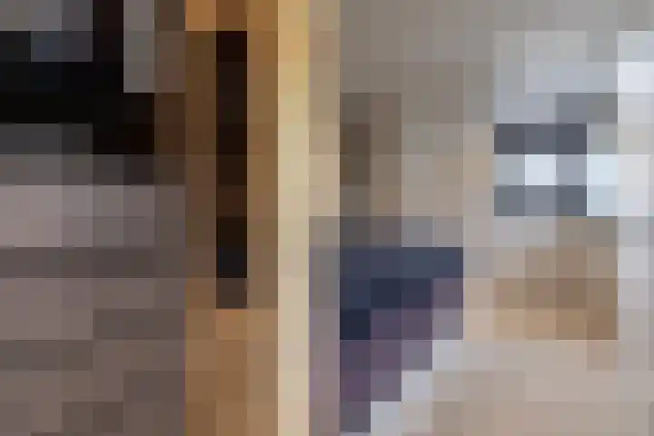 Van Zuijlen van Nieveltlaan 3 Barneveld thumbnail 22