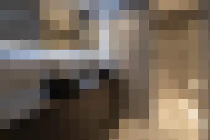 Van Zuijlen van Nieveltlaan 3 Barneveld thumbnail 27