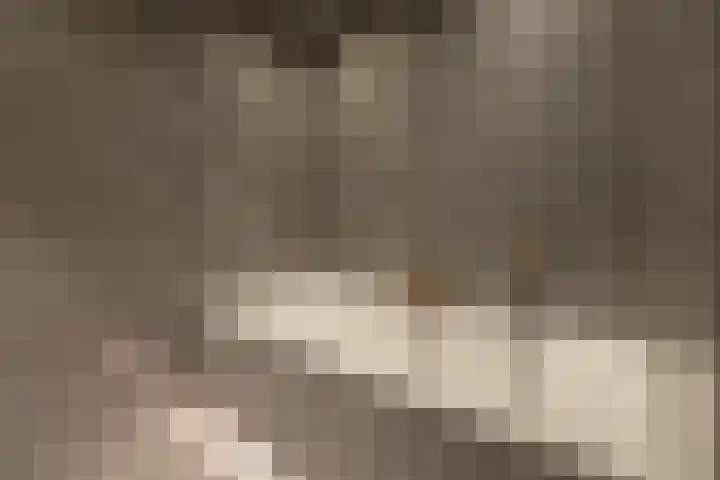 Van Zuijlen van Nieveltlaan 3 Barneveld thumbnail 29