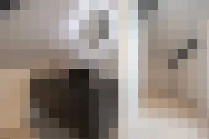 Van Zuijlen van Nieveltlaan 3 Barneveld thumbnail 31