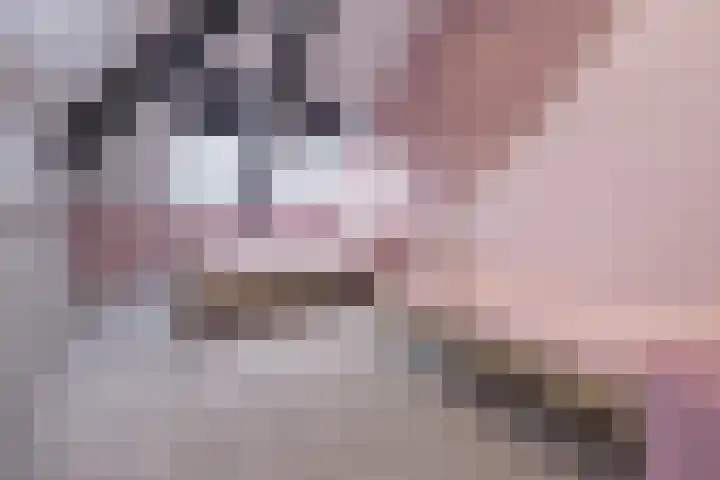 Van Zuijlen van Nieveltlaan 3 Barneveld thumbnail 33