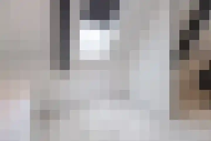 Van Zuijlen van Nieveltlaan 3 Barneveld thumbnail 36