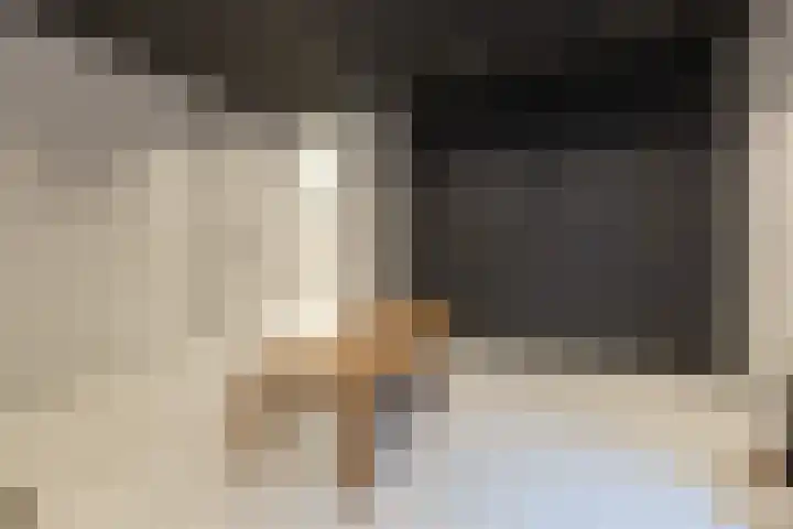 Van Zuijlen van Nieveltlaan 3 Barneveld thumbnail 38