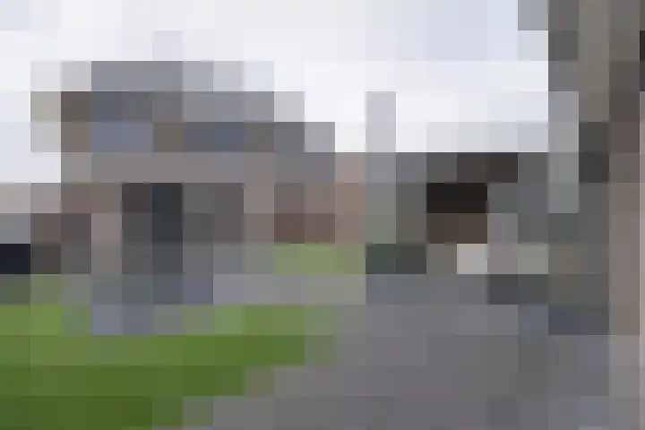 Van Zuijlen van Nieveltlaan 3 Barneveld thumbnail 42